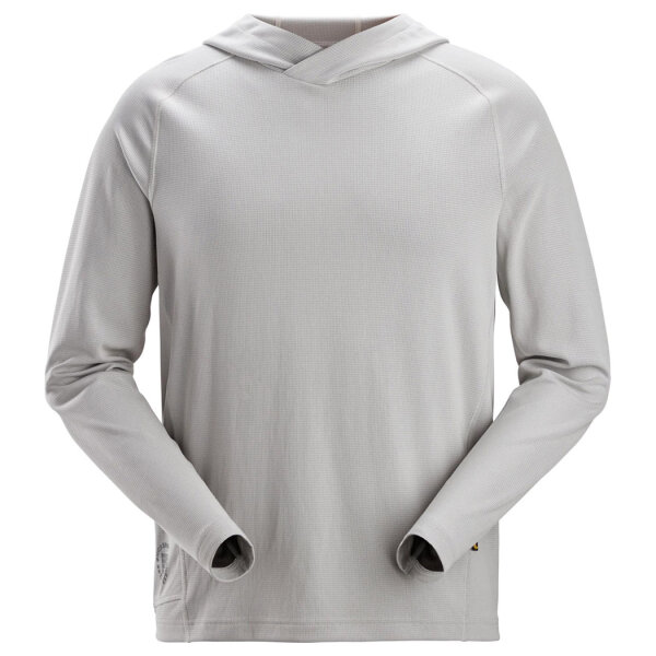 2900 gris glace