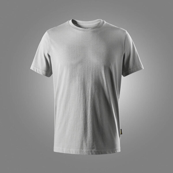 2900 ice grey